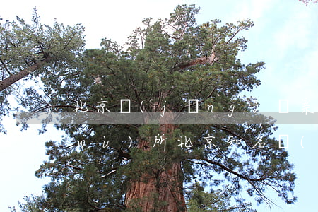 北京經(jīng)濟案件知名律師事務(wù)所(北京知名經(jīng)濟糾紛律師)