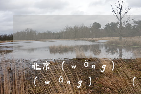 北京網(wǎng)約車最新消息是什么（網(wǎng)約車發(fā)展過程中出現(xiàn)了哪些問題）