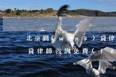 北京網(wǎng)貸律師(網(wǎng)貸律師咨詢免費(fèi))