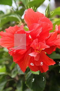 北京網(wǎng)貸被起訴-網(wǎng)貸平臺(tái)被起訴了怎么辦