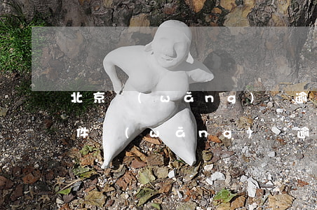 北京網(wǎng)貸逾期停息掛賬申請條件(網(wǎng)貸逾期怎么申請停息掛賬)