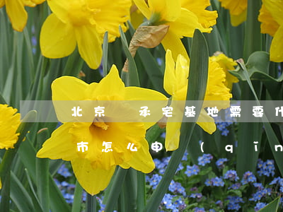 北京繼承宅基地需要什么手續(xù)(北京市怎么申請(qǐng)宅基地)
