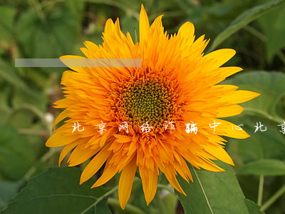 北京网络诈骗中心(北京诈骗报案地址)