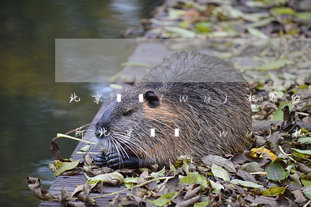 北京職務(wù)犯罪的律師事務(wù)所(北京職務(wù)犯罪的律師事務(wù)所 知乎)