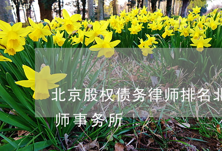 北京股权债务律师排名(北京著名债权债务律师事务所)