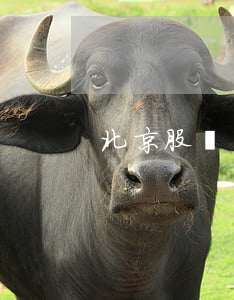 北京股權債務律師團隊(北京股權訴訟律師)