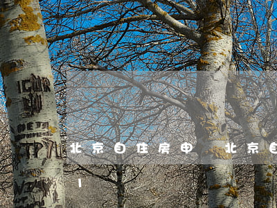 北京自住房申請(北京自住房申請條件2021)
