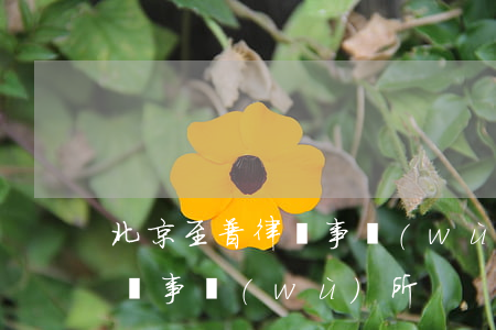 北京至普律師事務(wù)所所(北京康普律師事務(wù)所)