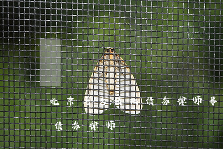 北京著名债权债务律师事务所（丰台聘请债权债务律师）