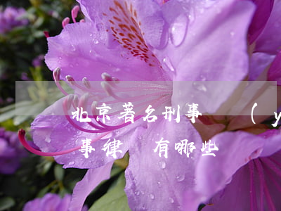 北京著名刑事專業(yè)律師(北京著名刑事律師有哪些)