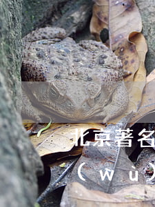 北京著名刑事案律師(北京 著名刑事律師事務(wù)所)
