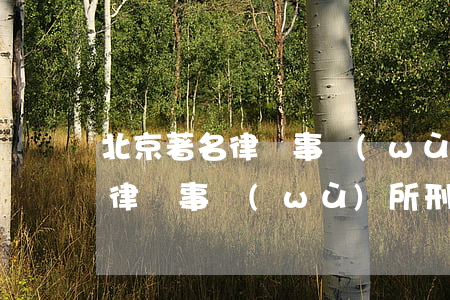 北京著名律師事務(wù)所刑事(北京著名律師事務(wù)所刑事)