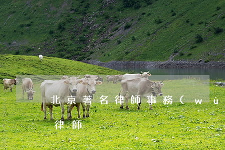 北京著名律師事務(wù)所姚志斗(姚志友律師)