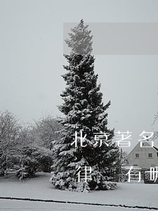 北京著名的刑事律師有哪些(北京著名的刑事律師有哪些)