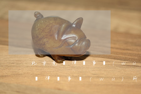 北京虎訴律師事務(wù)所怎么樣(北京虎訴律師事務(wù)所招聘)