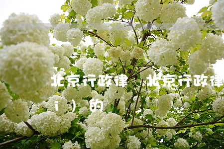北京行政律師(北京行政律師怎么收費(fèi)的)