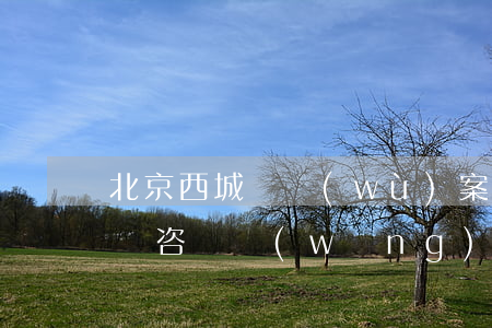 北京西城債務(wù)案執(zhí)行律師咨詢網(wǎng)站-北京西城債務(wù)案執(zhí)行律師咨詢網(wǎng)站官網(wǎng)