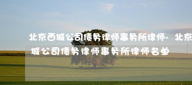 北京西城公司债务律师事务所律师-北京西城公司债务律师事务所律师名单