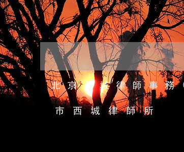 北京西城律師事務(wù)所律師名單(北京市西城律師所)