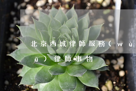 北京西城律師服務(wù)(北京西城區(qū)律師事物)