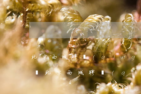 北京西城聘請(qǐng)債務(wù)律師(北京西城聘請(qǐng)債務(wù)律師多少錢)
