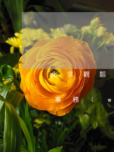 北京觀韜律師事務(wù)所(北京觀韜律師事務(wù)所官網(wǎng))