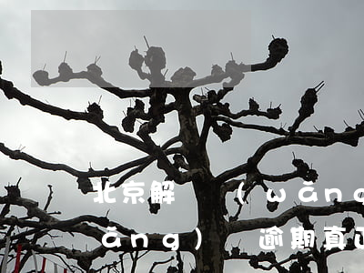 北京解決網(wǎng)貸逾期律師(網(wǎng)貸逾期真正的律師是怎樣的)
