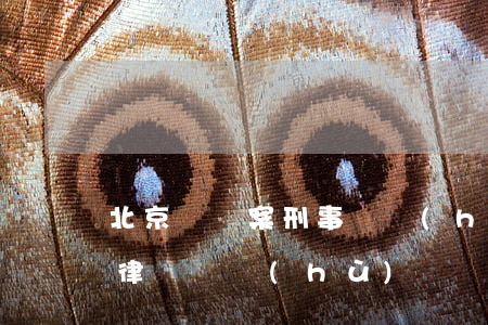 北京詐騙案刑事辯護(hù)律師(北京犯罪律師辯護(hù))