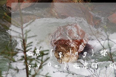 北京請(qǐng)律師打官司要多少錢(qián)(北京打離婚官司請(qǐng)律師要多少錢(qián))