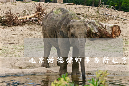 北京诺德律师事务所(北京因诺律师事务所)