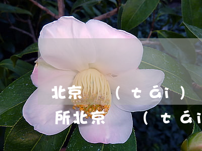 北京豐臺(tái)區(qū)哪里有律師所(北京豐臺(tái)區(qū)事務(wù)所律師)