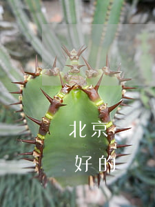 北京豐臺區(qū)律師事務(wù)所有好的嗎(豐臺最好的律師事務(wù)所)