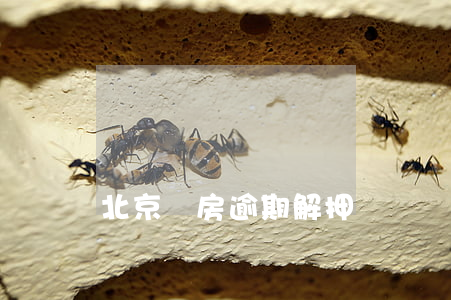 北京賣房逾期解押違約訴訟