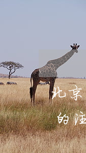 北京購買二手房首付多少錢（二手房按揭貸款的注意事項(xiàng)）