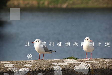 北京農村征地拆遷地上建筑補償由哪個部門管