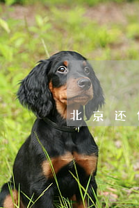 北京还债务律师-北京债务律师在线咨询