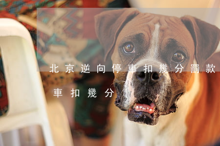 北京逆向停車扣幾分罰款多少錢(北京違法停車扣幾分)