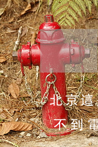 北京這幾天怎么不查電動車了(為什么網上查不到電動車信息)
