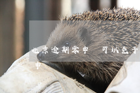 北京逾期零申報可以免予處罰不-北京逾期申報處罰標準