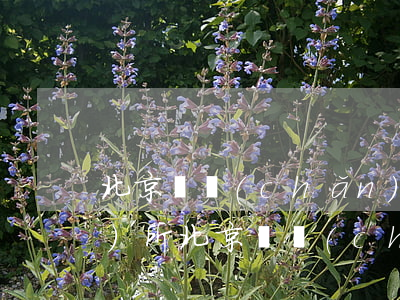 北京遺產(chǎn)繼承律師事務(wù)所(北京遺產(chǎn)繼承律師事務(wù)所排名)