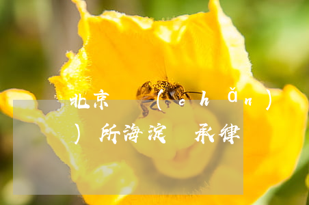 北京 遺產(chǎn)繼承 律師事務(wù)所(海淀繼承律師)