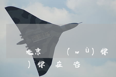 北京還債務(wù)律師-北京債務(wù)律師在線咨詢