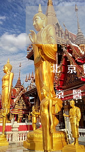 北京醫(yī)療官司專業(yè)律師(北京醫(yī)療糾紛律師事務(wù)所排行)