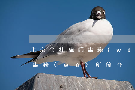 北京金杜律師事務(wù)所(北京金杜律師事務(wù)所簡介)