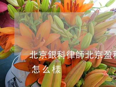 北京銀科律師(北京盈科律師事務(wù)所怎么樣)
