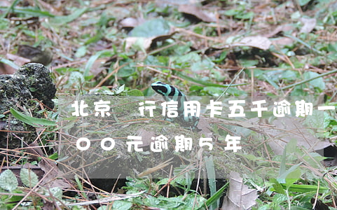 北京銀行信用卡五千逾期一年半(信用卡1000元逾期5年)