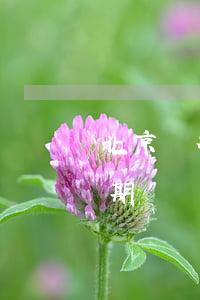 北京銀行信用卡分期逾期后卡(信用卡 逾期 分期)