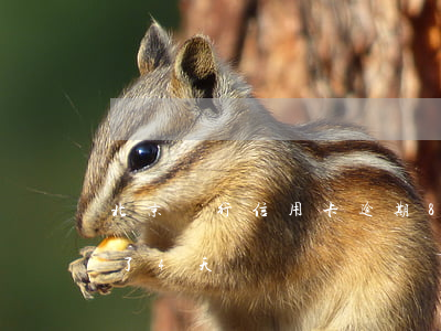 北京銀行信用卡逾期8天(北京銀行信用卡晚了4天)