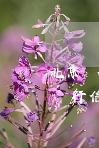 北京銀行信用卡逾期三個月有影響嗎?-北京銀行信用卡逾期三個月有影響嗎知乎