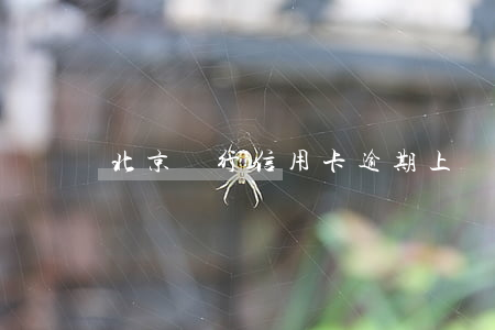 北京銀行信用卡逾期上門(銀行卡逾期說要上門)